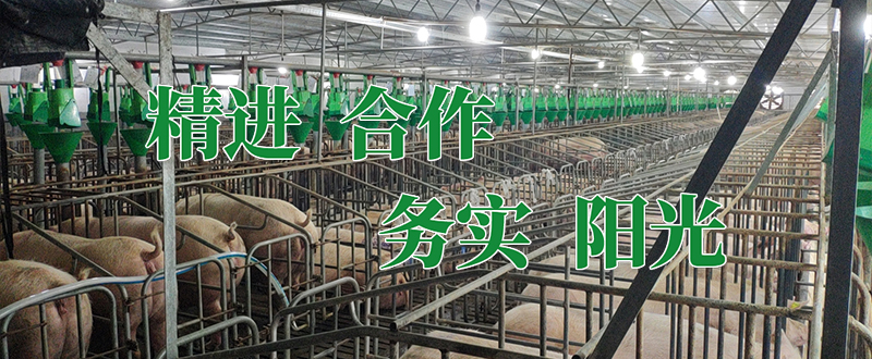 常加（上海）农业科技-🔥9159金沙游戏场·官方App Store